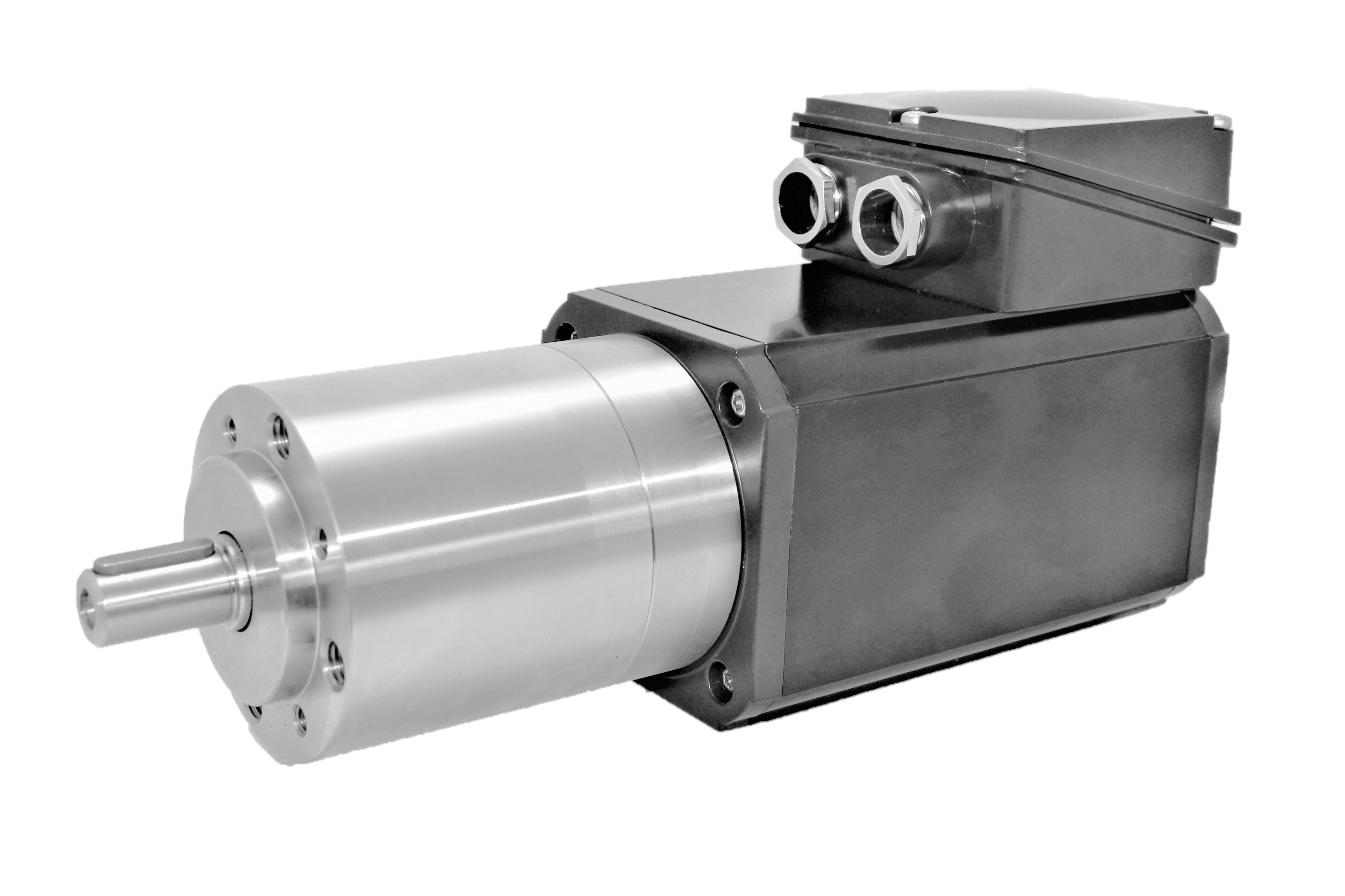 sila motor eepl64.jpg